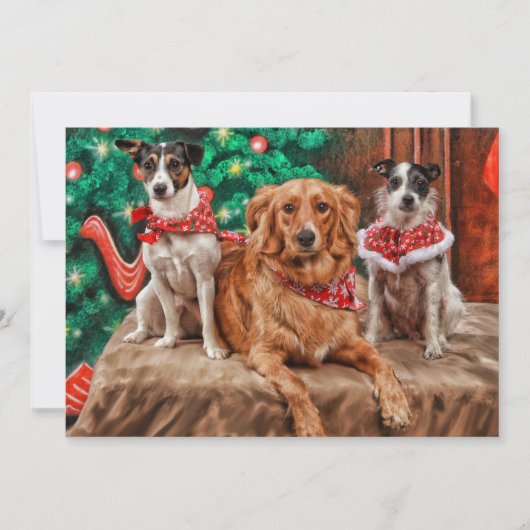 Honden die Kerstmis vieren Feestdagenkaart (Voorkant)