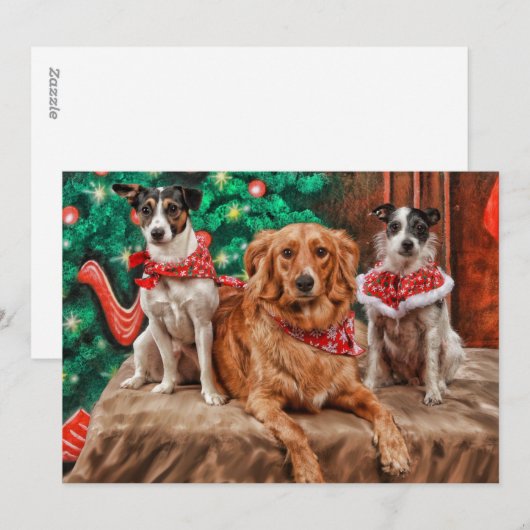 Honden die Kerstmis vieren Feestdagenkaart (Voorkant / Achterkant)