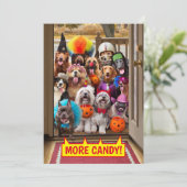 Honden die langs de deuren gaan kaart (Staand voorkant)