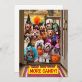 Honden die langs de deuren gaan kaart (Voorkant / Achterkant)