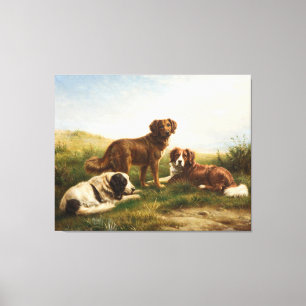 honden die op het plateau rusten canvas afdruk