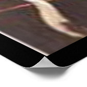 Honden die poel spelen - de kraakbeagel poster (Hoek)