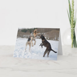Honden die pret in sneeuwKerstmis hebben Feestdagen Kaart