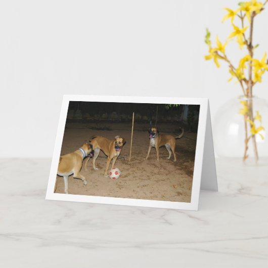 Honden die 's Nachts Voetbal Spelen Kaart (Gele Bloem)