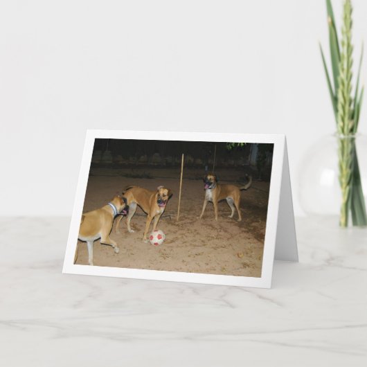 Honden die 's Nachts Voetbal Spelen Kaart (Voorkant)