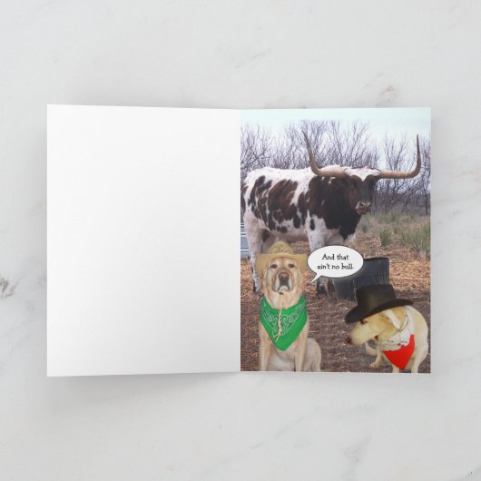  honden die we missen kaart (Binnen)