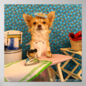 Honden doen ijzer poster (Voorkant)