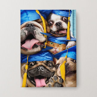 Honden en katten afgestudeerd in fotohokje button
