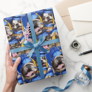 Honden en katten afgestudeerd in fotohokje cadeaupapier