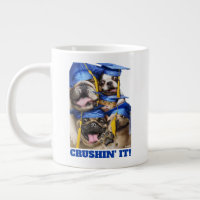 Honden en katten afgestudeerd in fotohokje