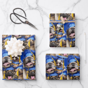 Honden en katten afgestudeerd in fotohokje inpakpapier vel