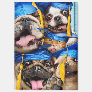 Honden en katten afgestudeerd in fotohokje magneet