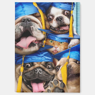 Honden en katten afgestudeerd in fotohokje magneet