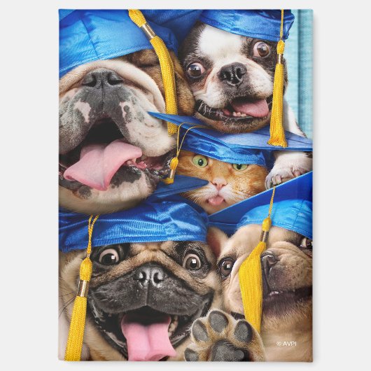 Honden en katten afgestudeerd in fotohokje magneet (Voorkant)