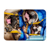 Honden en katten afgestudeerd in fotohokje magneet (Horizontaal)