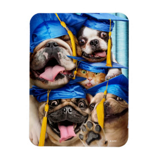 Honden en katten afgestudeerd in fotohokje magneet