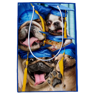Honden en katten afgestudeerd in fotohokje medium cadeauzakje