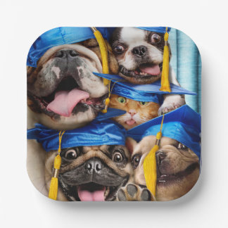 Honden en katten afgestudeerd in fotohokje papieren bordje