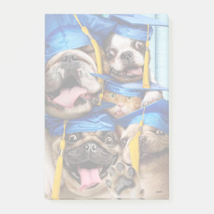Honden en katten afgestudeerd in fotohokje post-it® notes
