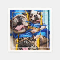 Honden en katten afgestudeerd in fotohokje