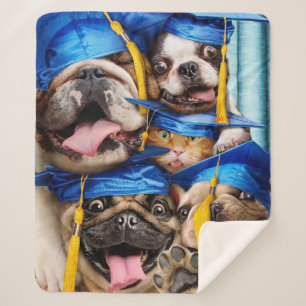 Honden en katten afgestudeerd in fotohokje sherpa deken