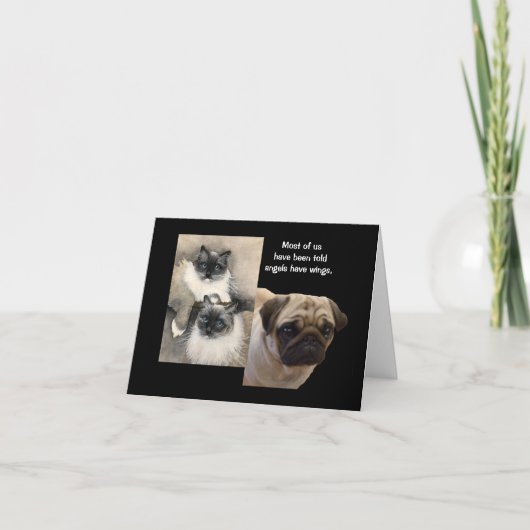 Honden en katten Dierlijke engelen Gevouwen Wenska Kaart (Voorkant)