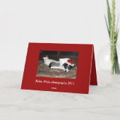 honden en katten feestdagen kaart (Achterkant)