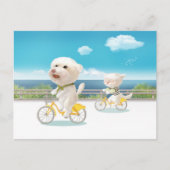Honden en katten Fietsen bij het Zee Aankondigingskaart (Voorkant)