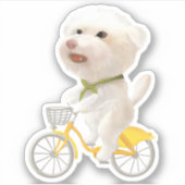 Honden en katten Fietsen bij het Zee Sticker (Voorkant)