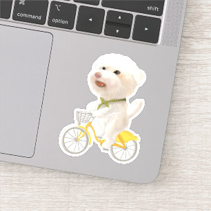 Honden en katten Fietsen bij het Zee Sticker