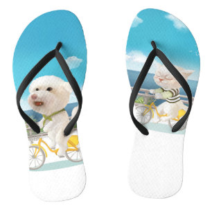 Honden en katten Fietsen bij het Zee Teenslippers