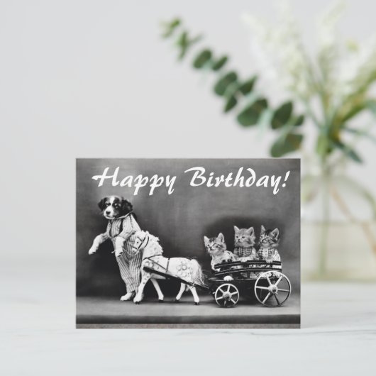  honden en katten Happy Birthday Briefkaart (Staand voorkant)