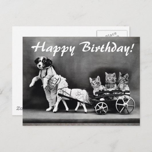  honden en katten Happy Birthday Briefkaart (Voorkant / Achterkant)