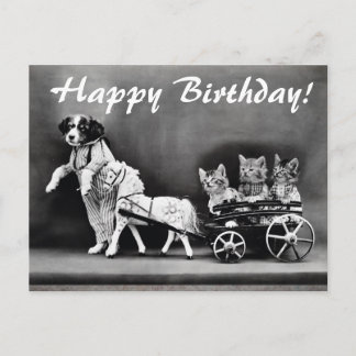  honden en katten Happy Birthday Briefkaart