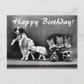  honden en katten Happy Birthday Briefkaart (Voorkant)