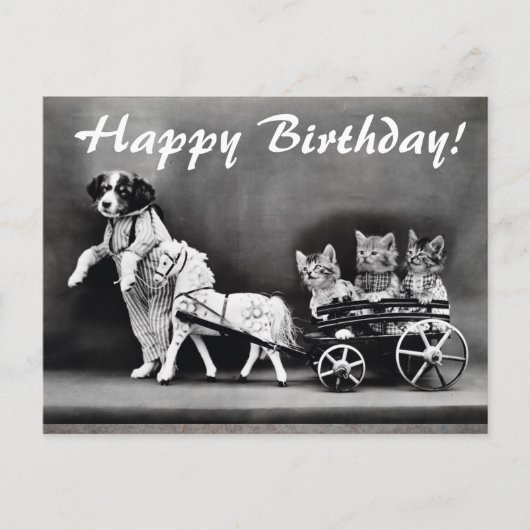  honden en katten Happy Birthday Briefkaart (Voorkant)