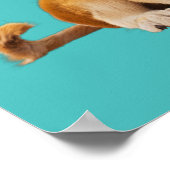 Honden en katten maken het leven pootjes! poster (Hoek)