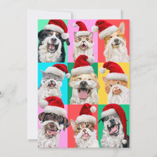 Honden en katten met kerstbaard kaart (Voorkant)