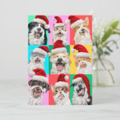 Honden en katten met kerstbaard kaart (Staand voorkant)