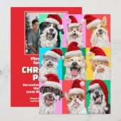 Honden en katten met kerstbaard kaart (Voorkant / Achterkant)
