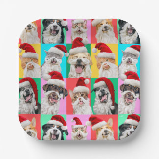Honden en katten met kerstbaard papieren bordje