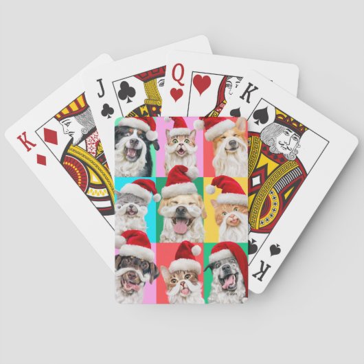 Honden en katten met kerstbaard pokerkaarten (Achterkant)