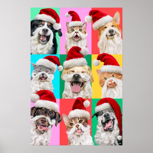 Honden en katten met kerstbaard poster (Voorkant)