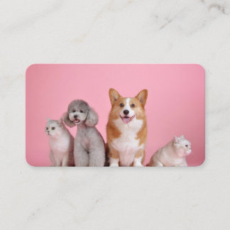 Honden en katten visitekaartje