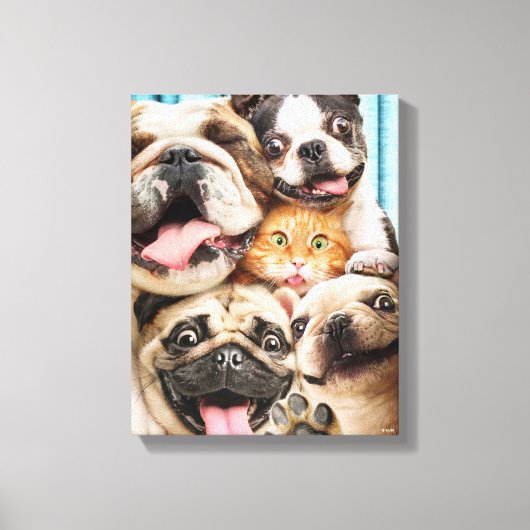 Honden en kattengroepfoto canvas afdruk (Voorkant)