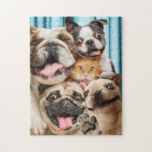 Honden en kattengroepfoto legpuzzel