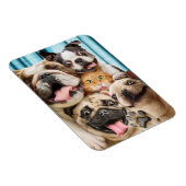 Honden en kattengroepfoto magneet (Rechterzijde)