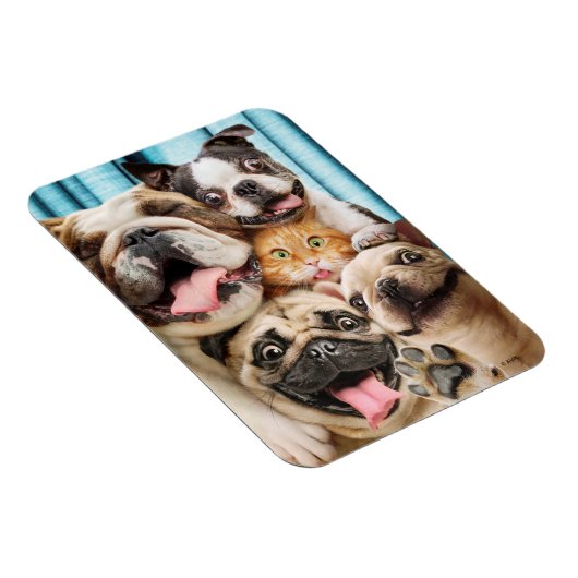Honden en kattengroepfoto magneet (Rechterzijde)