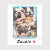 Honden en kattengroepfoto sticker (Vel)