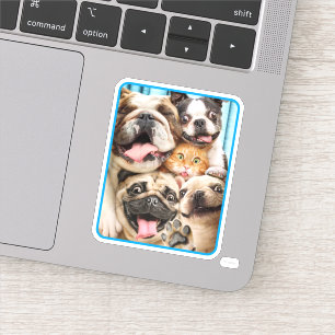 Honden en kattengroepfoto sticker
